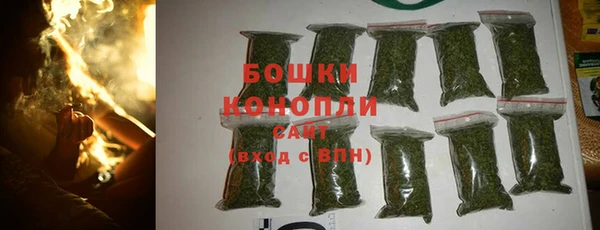 бошки Ельня