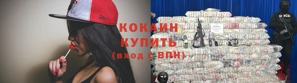 бошки Ельня