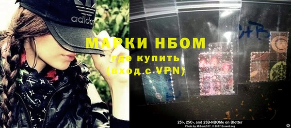 бошки Ельня