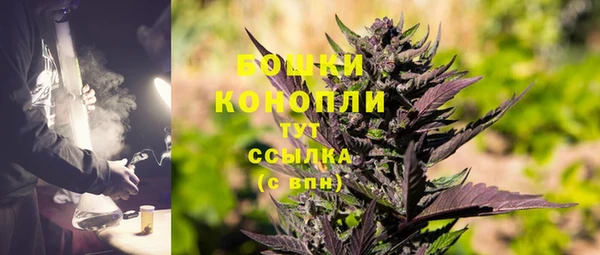 мдпв Елизово