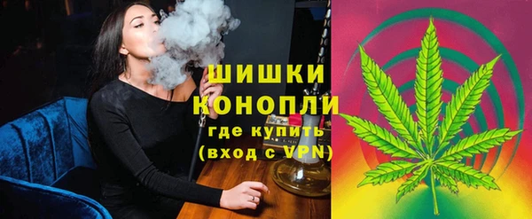бошки Ельня