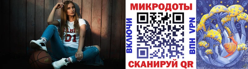 Галлюциногенные грибы Psilocybe  Купить закладки  Первомайск 